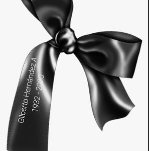 Meet your Posher, Alfredo-flor